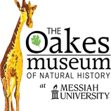 Oakes Museum Logo