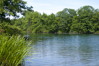 Lake picture